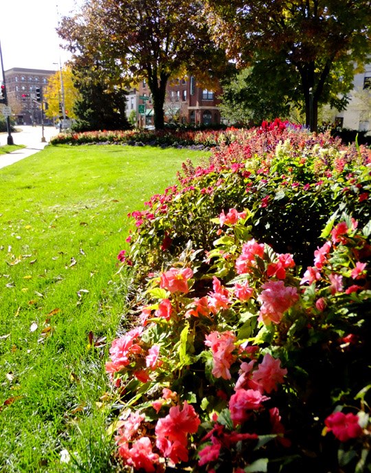 Old Gateway Garden 1