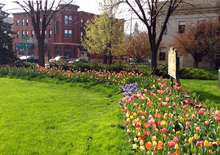 Old Gateway Garden 2