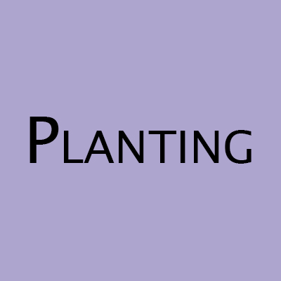 Planting